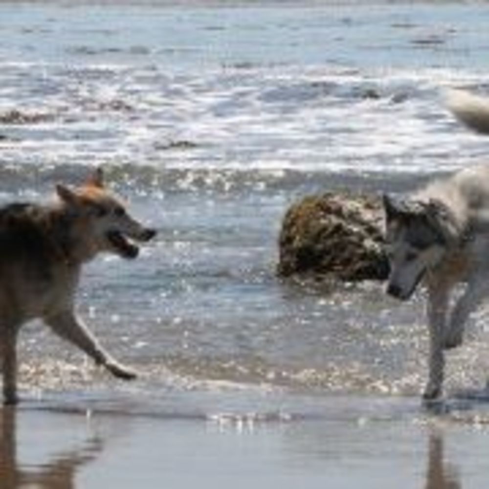 Meet your Posher, Kathleen